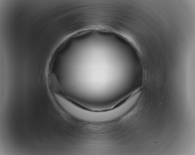 X0000088711046200706282039