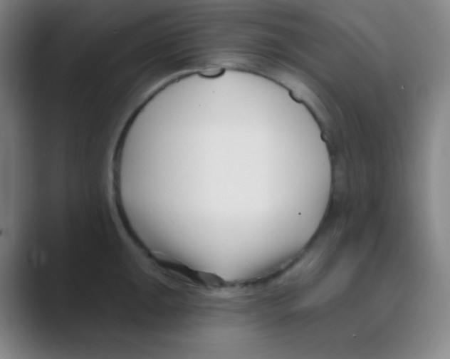 X0000088711047200706282039