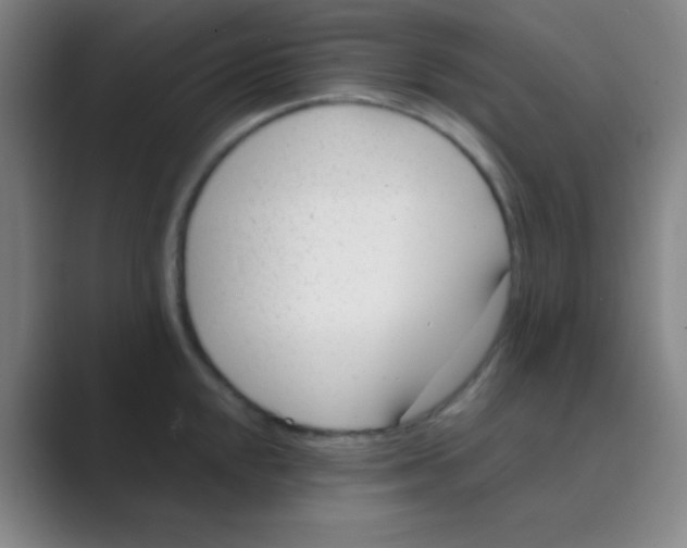 X0000088711048200706282039