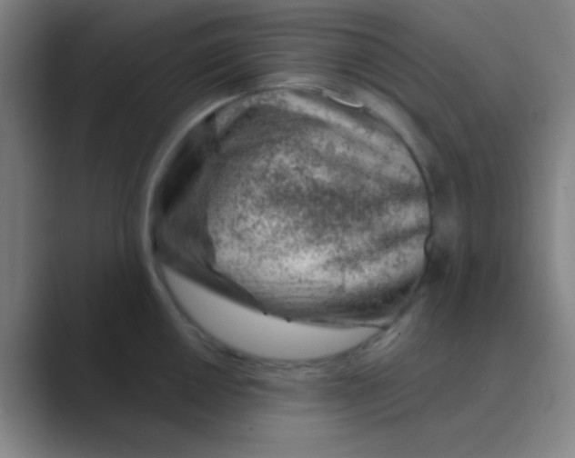 X0000088711050200706282039