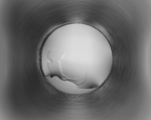 X0000088711051200706282039