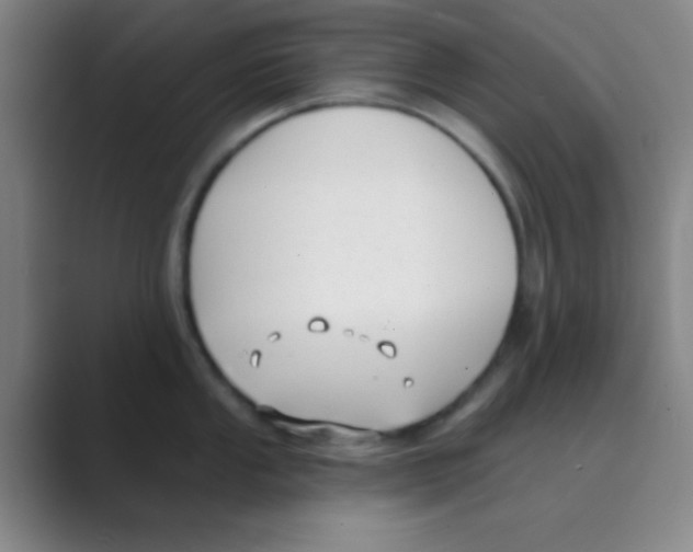 X0000088711053200706282039