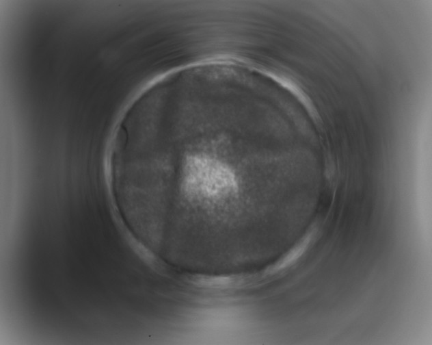 X0000088711054200706282039