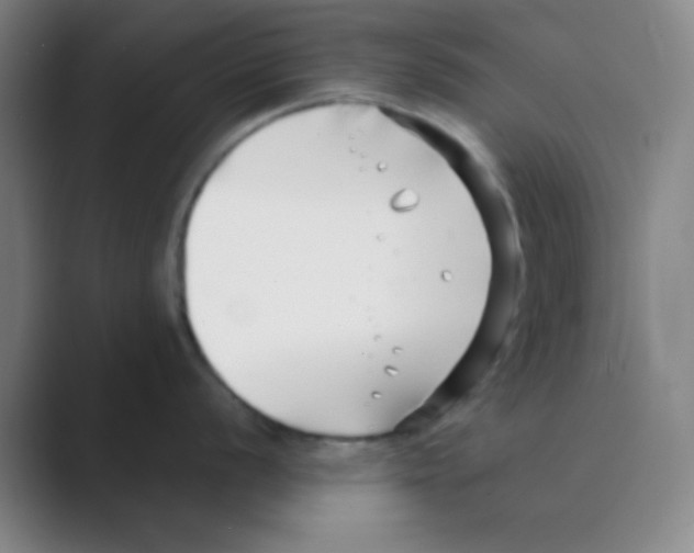 X0000088711056200706282039