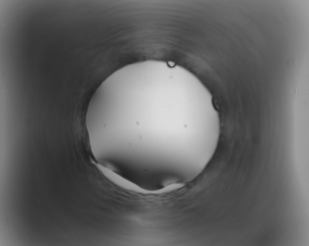 X0000088711058200706282038