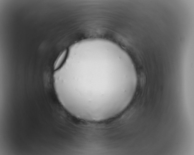 X0000088711059200706282038