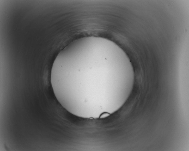 X0000088711060200706282038