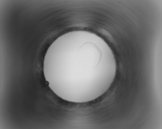 X0000088711064200706282038