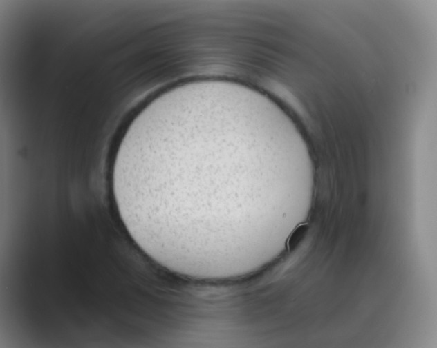 X0000088711071200706282038