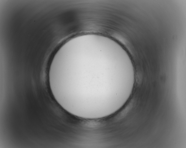 X0000088711074200706282038