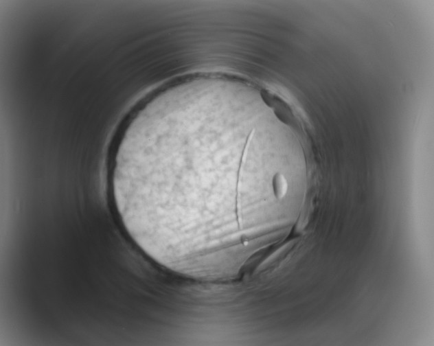 X0000088711076200706282038