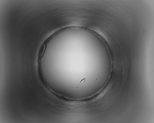 X0000088711077200706282038