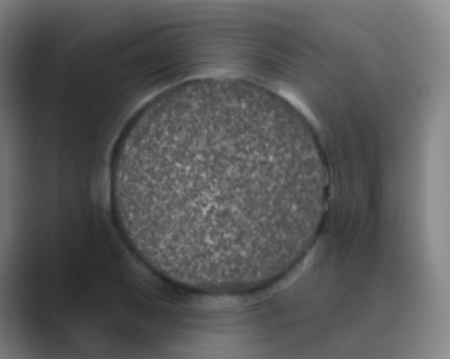 X0000088711079200706282038