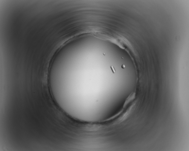 X0000088711081200706282038