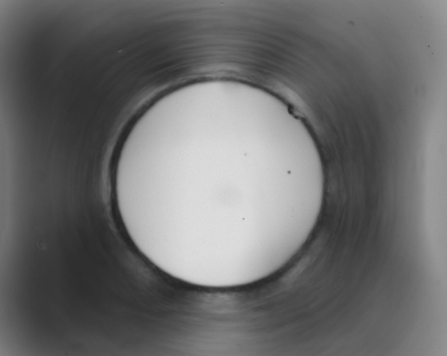 X0000088711082200706282038