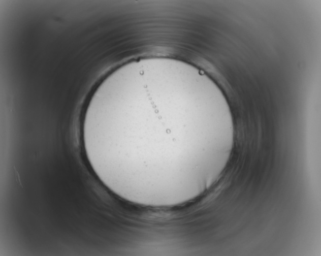 X0000088711083200706282038