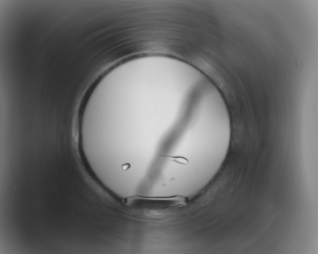 X0000088711084200706282038