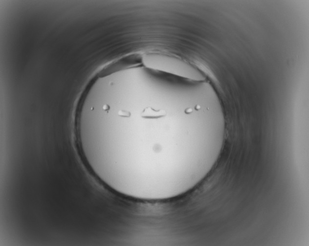 X0000088711087200706282038