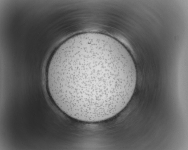 X0000088711088200706282038