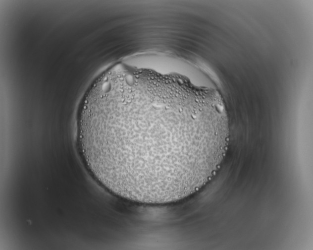 X0000088711095200706282038