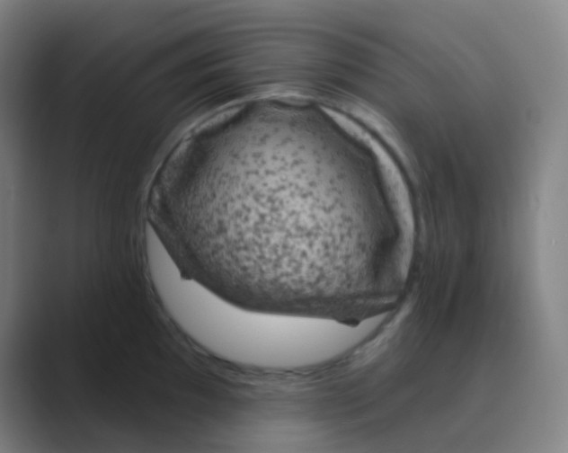 X0000088711097200706282038