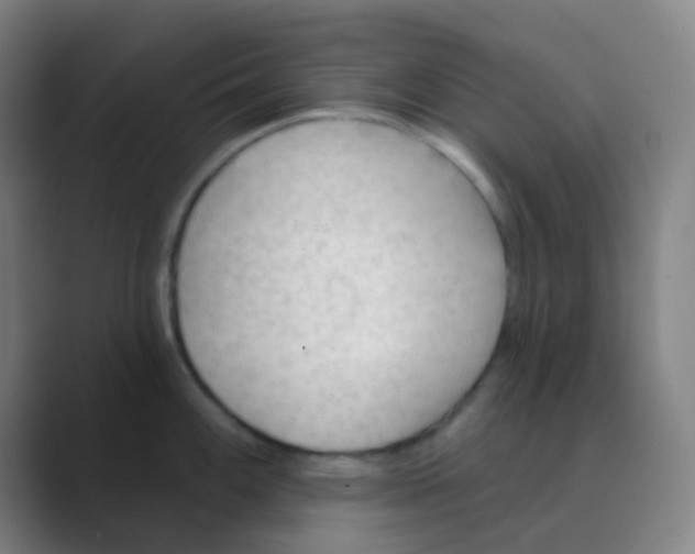 X0000088711100200706282038