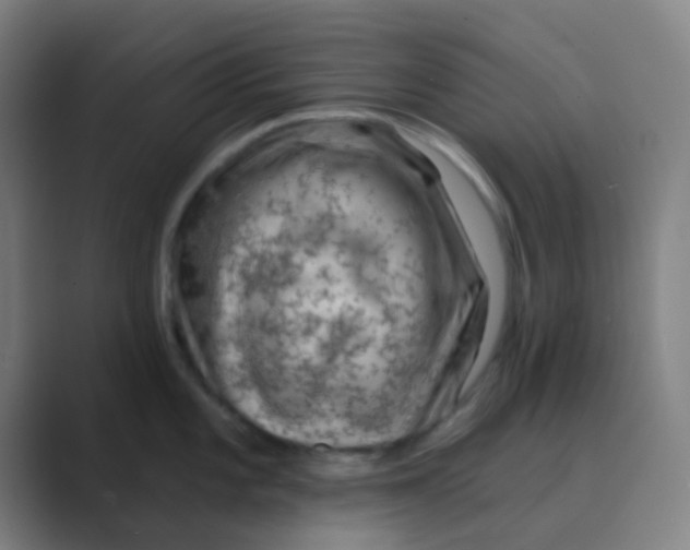 X0000088711101200706282038