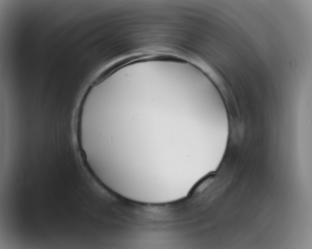 X0000088711102200706282038