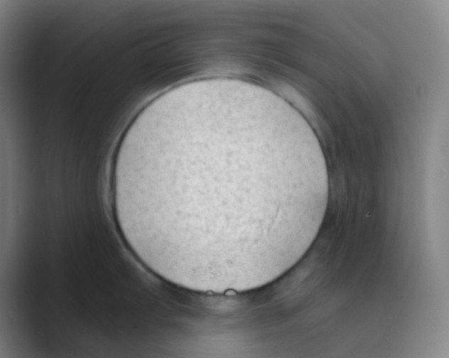 X0000088711103200706282038