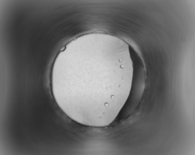 X0000088711104200706282038