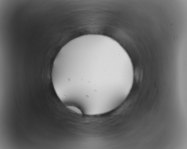 X0000088711107200706282037