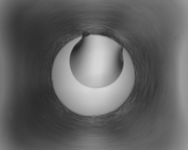 X0000088711108200706282037