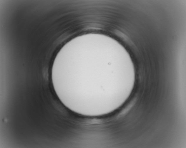 X0000088711113200706282037