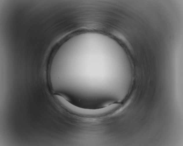 X0000088711114200706282037