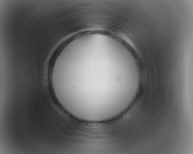 X0000088711116200706282037