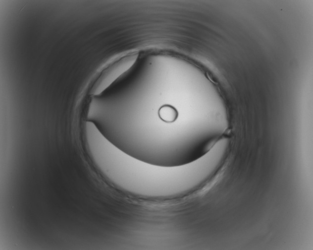 X0000088711118200706282037