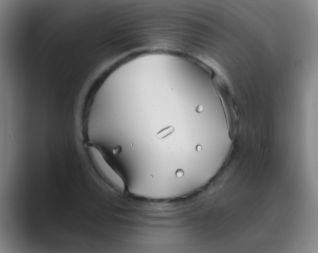 X0000088711120200706282037