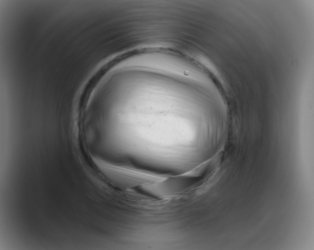 X0000088711124200706282038