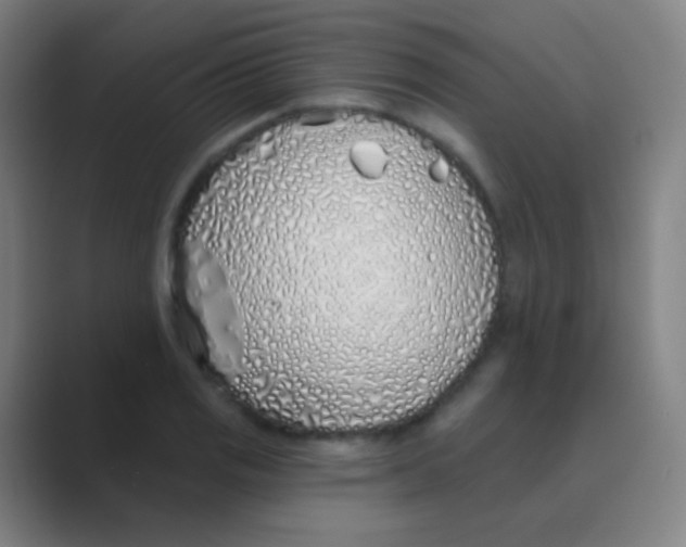 X0000088711125200706282038