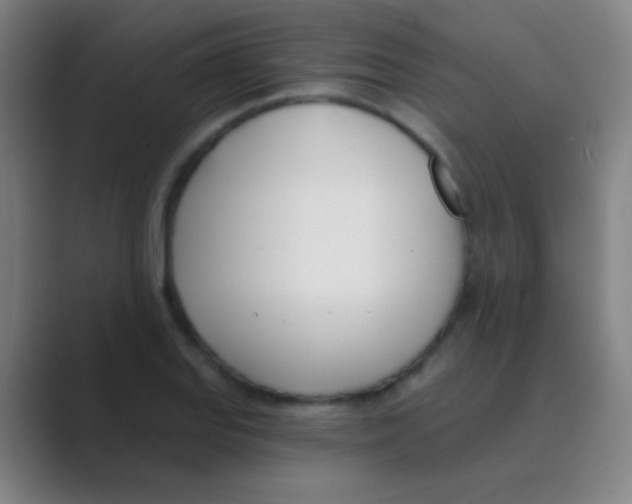 X0000088711127200706282038