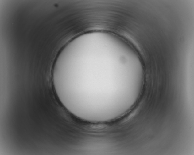 X0000088711129200706282038