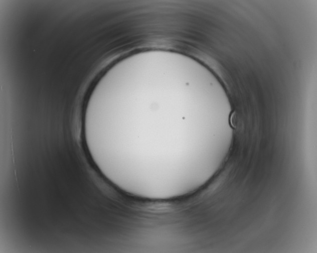 X0000088711131200706282038