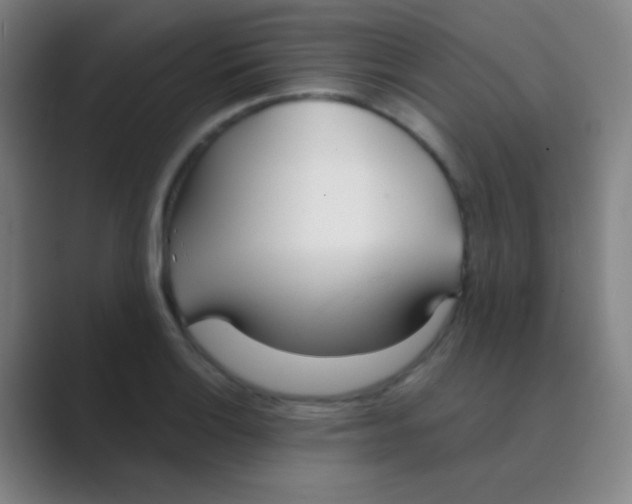 X0000088711132200706282038