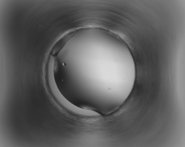 X0000088711134200706282038