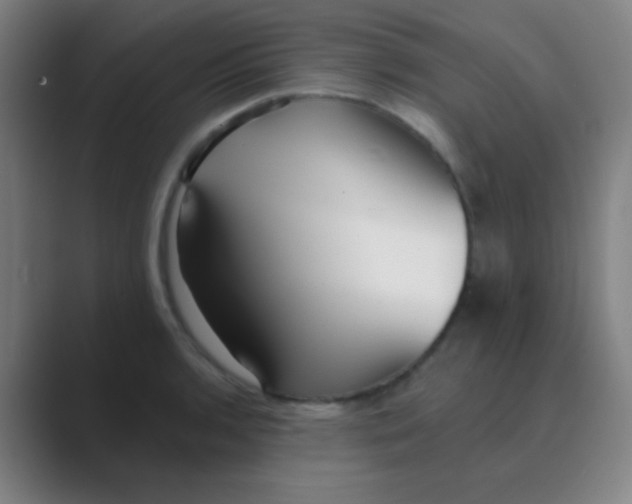 X0000088711136200706282038