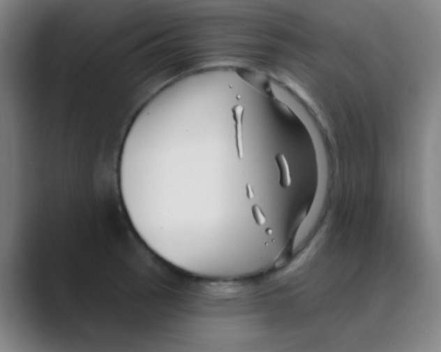 X0000088711137200706282038