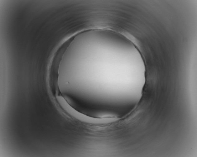 X0000088711144200706282038