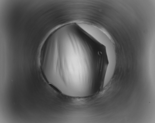 X0000088711148200706282038