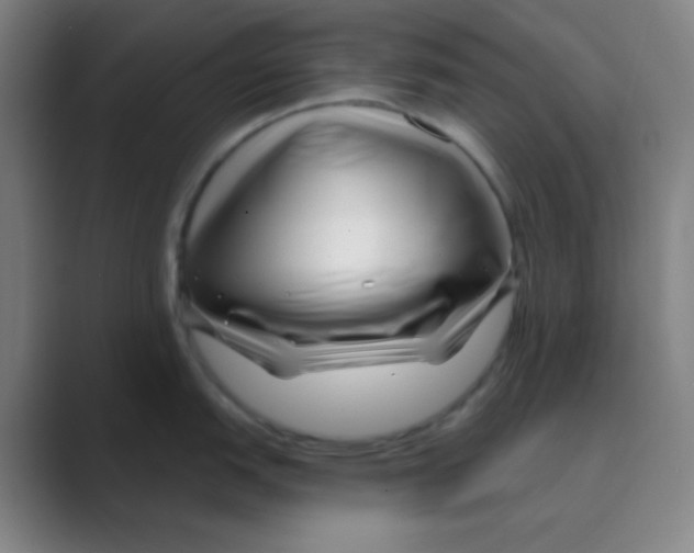 X0000088711151200706282038