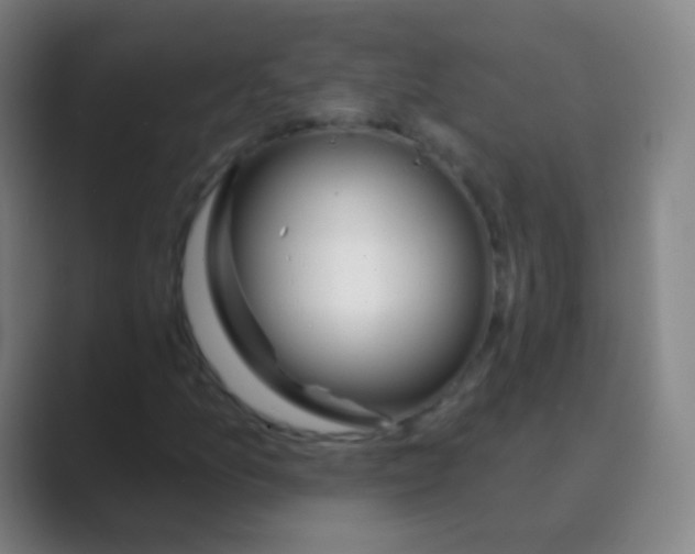 X0000088711157200706282037